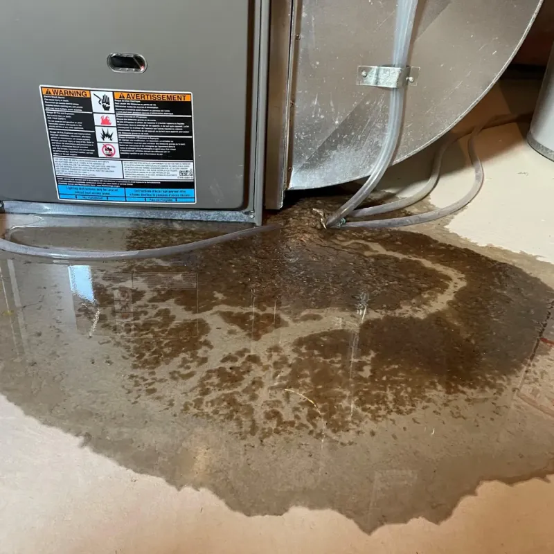 Appliance Leak Cleanup in Picayune, MS